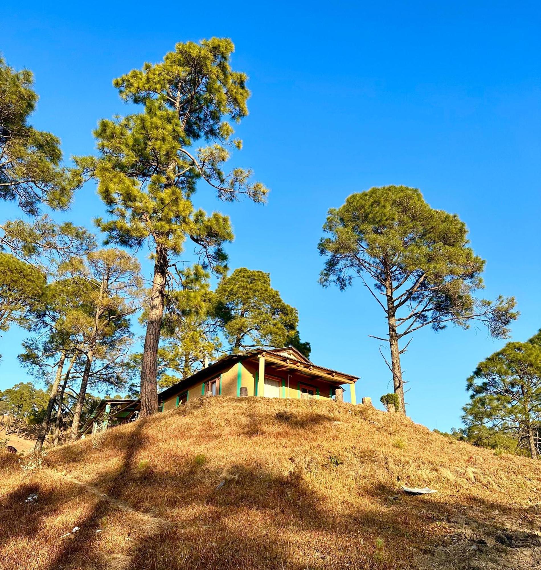 Joshi Cottage Binsar Exteriér fotografie